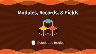 Database Basics: Modules, Records, and Fields